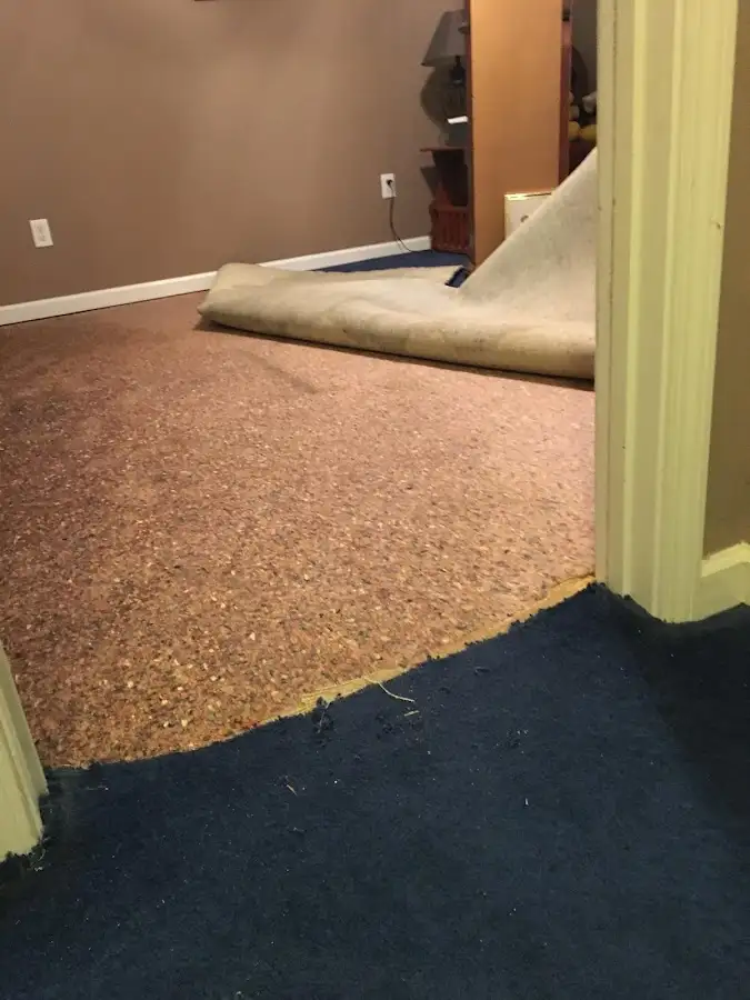 Carpet pad removal revealing water damage during Drying & Dehumidification in Hobart