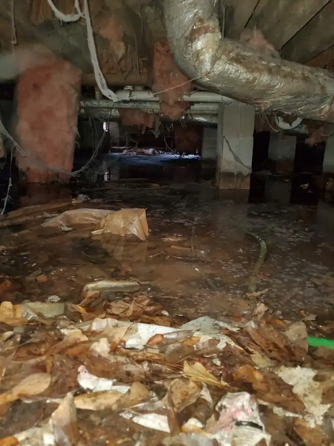 Crawl space flood assessment for Leak Detection & Repair in Hobart