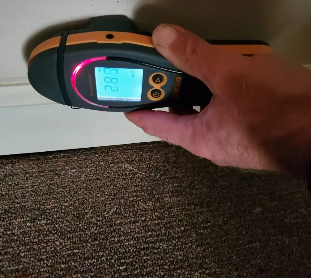 Moisture detection at baseboard during Mold Inspection & Testing in Hobart